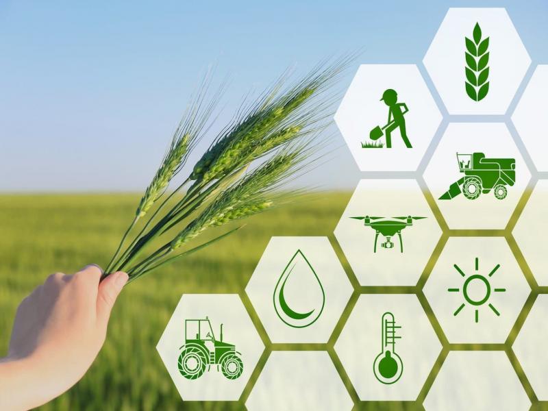 Investice do zemědělství a potravinářství: tržní vyhlídky a příležitosti
